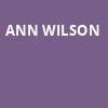 Ann Wilson, The Joint, Tulsa