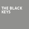 The Black Keys, BOK Center, Tulsa